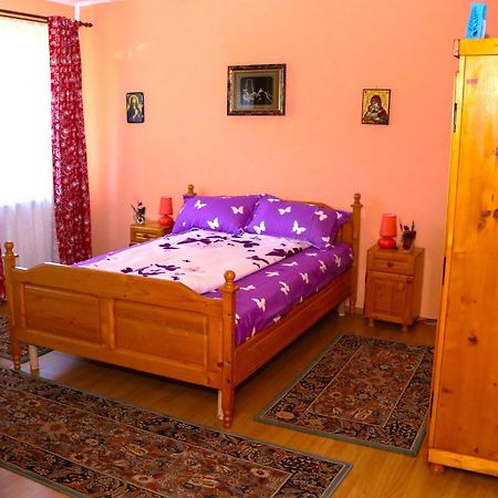 Apartament Iulia Geoagiu Băi Exteriér fotografie