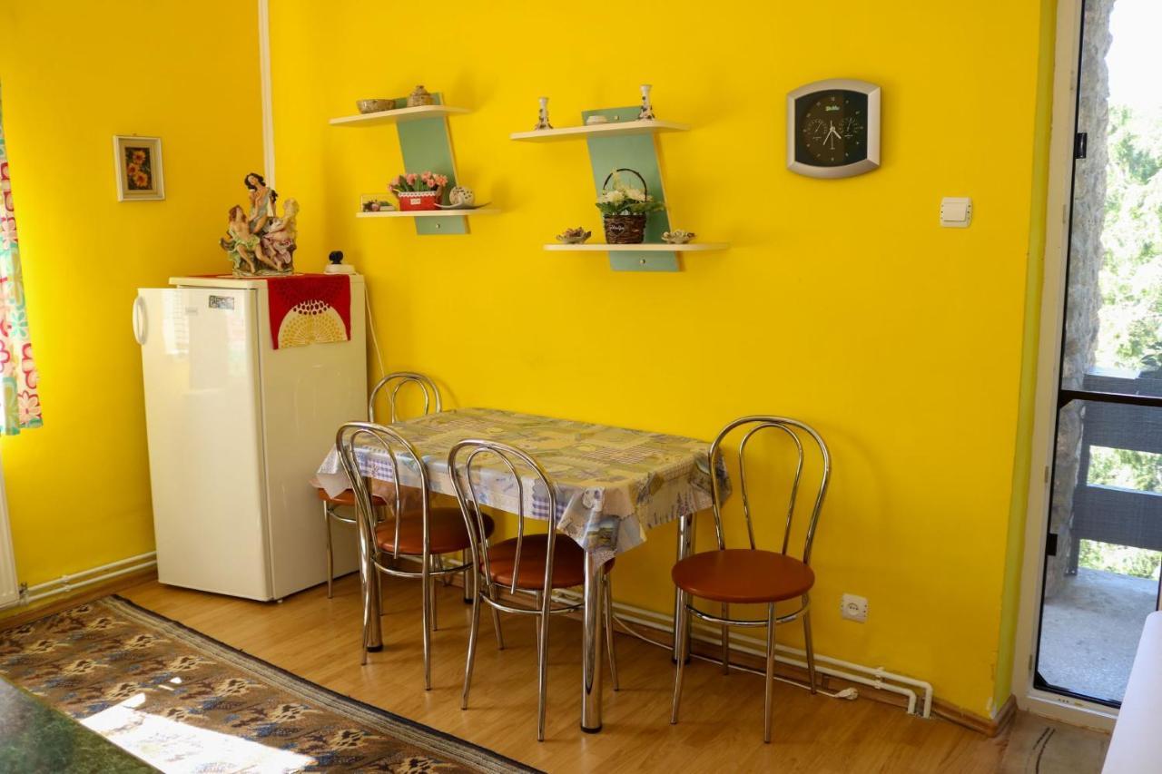 Apartament Iulia Geoagiu Băi Exteriér fotografie