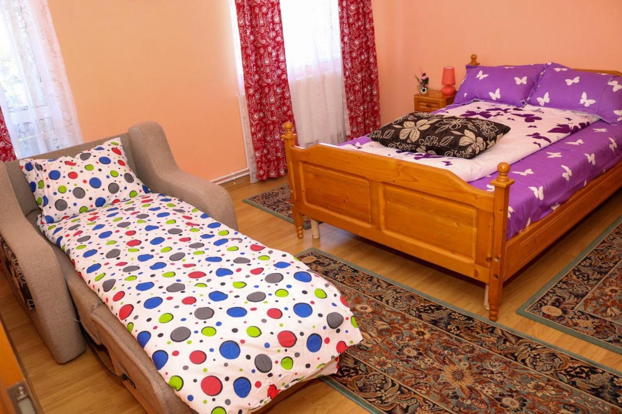 Apartament Iulia Geoagiu Băi Exteriér fotografie