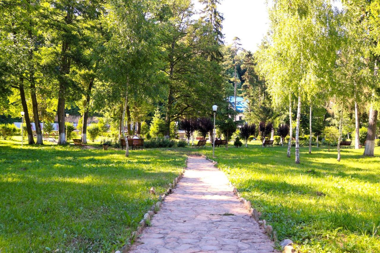 Apartament Iulia Geoagiu Băi Exteriér fotografie