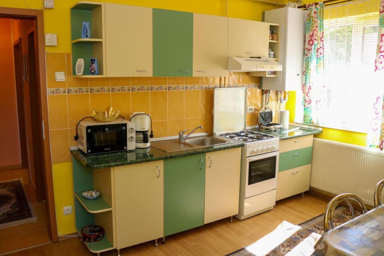 Apartament Iulia Geoagiu Băi Exteriér fotografie